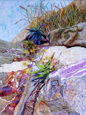 Rock Bound Succulents