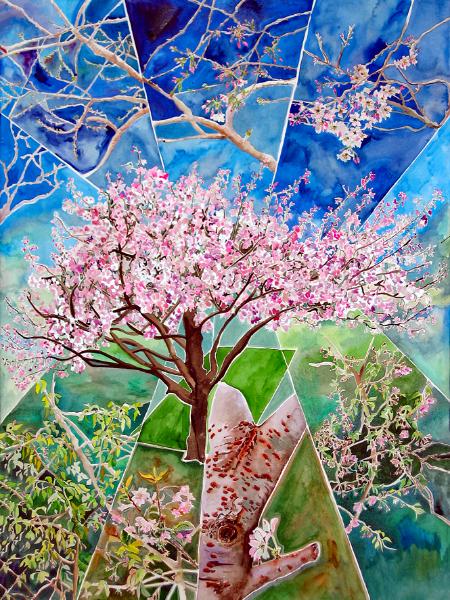 Season of the Ornamental Cherry Tree