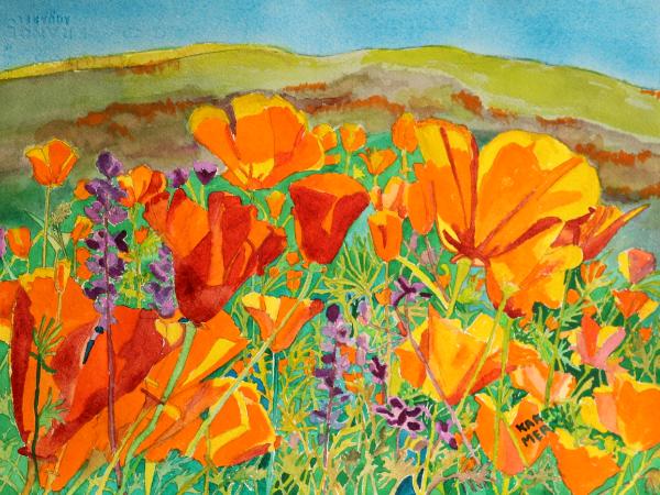 Bright Poppies