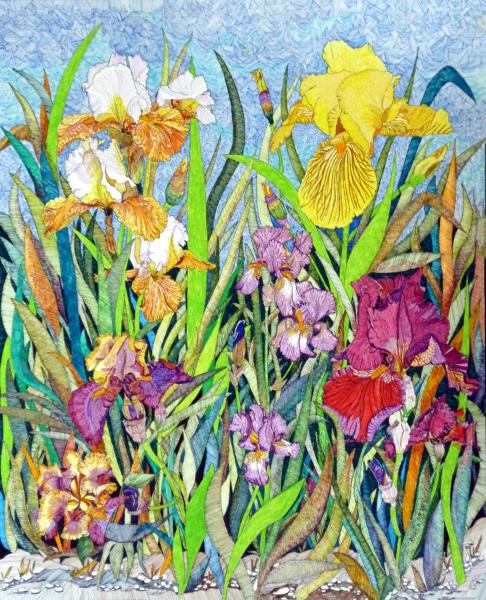 Iris Garden