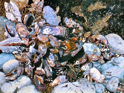 California Mussels